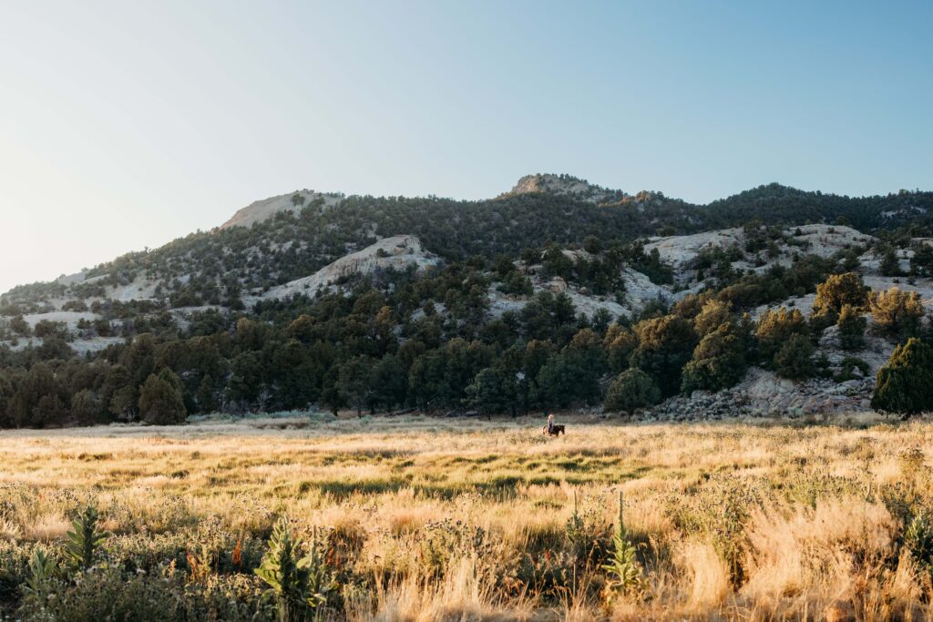 A boy rides a horse in the distance in a golden field in the mountains in southern Utah