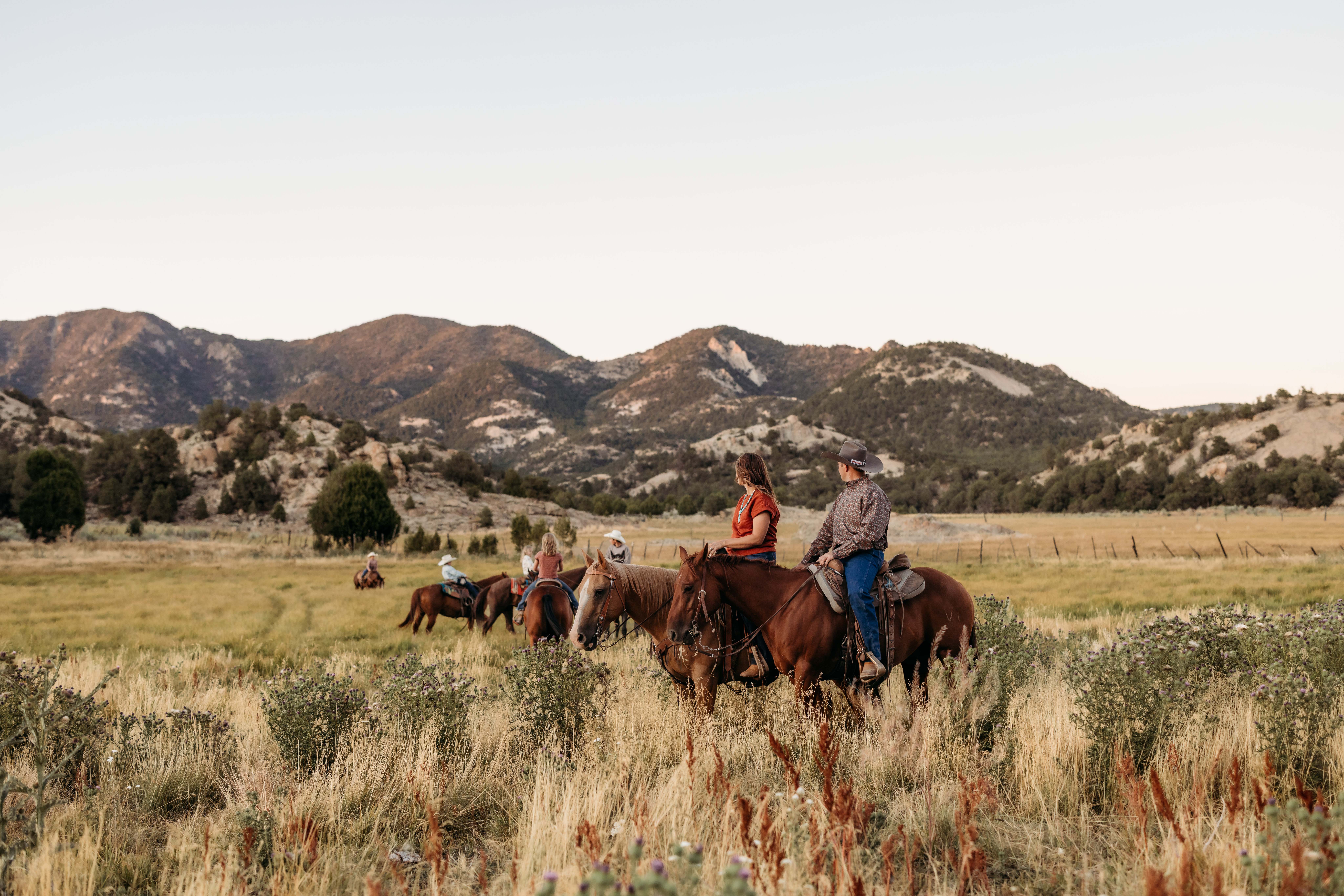 A man and a woman look into into the distance as they sit on their horses in a beautiful golden field